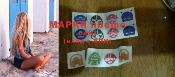 мдпв Краснослободск