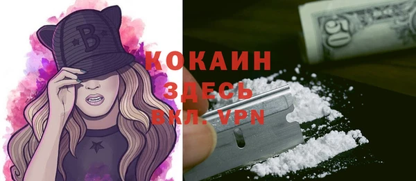 мдпв Краснослободск