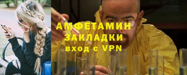 мдпв Краснослободск