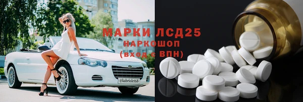 мдпв Краснослободск