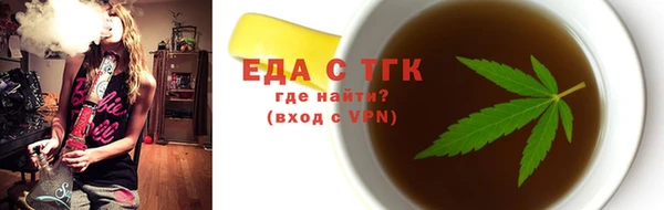 мдпв Краснослободск