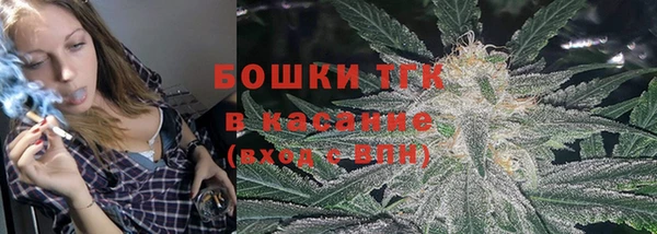 мдпв Краснослободск