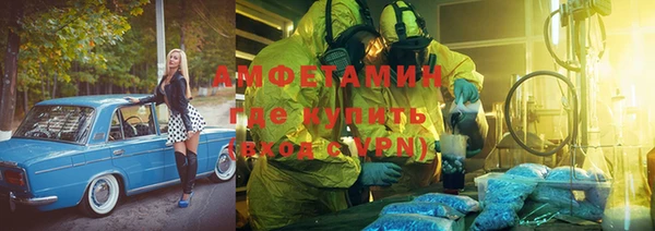 мдпв Краснослободск