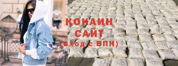 мдпв Краснослободск