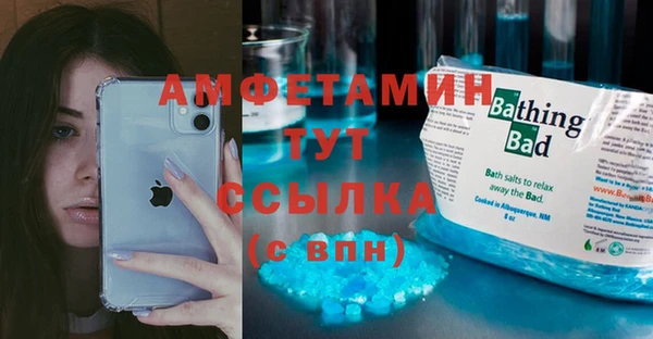 мдпв Краснослободск