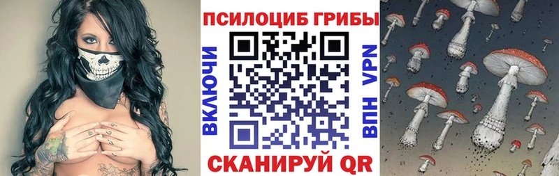 Псилоцибиновые грибы мицелий  Купить где  Ахтубинск 